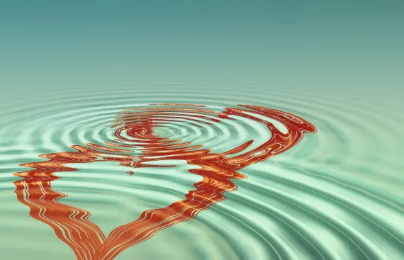 BingoCom Casino Suporte